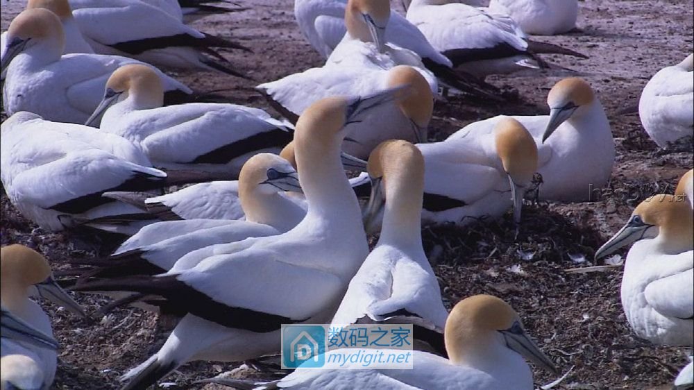 ۼʮǮСܸʲô?ְֽ!(32λȹͰ