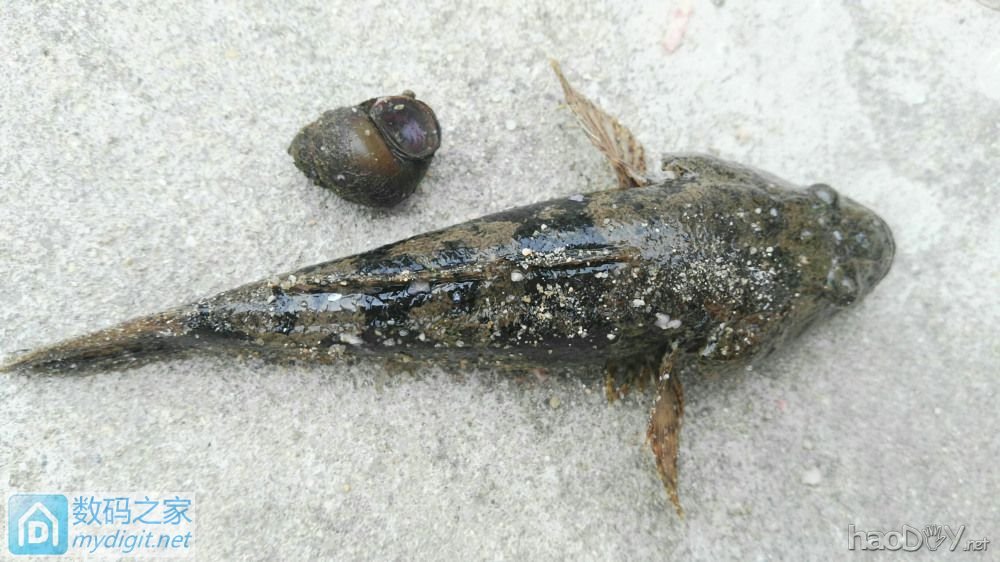 平生第一次手工绕制环牛,容我歇歇~ 缓缓手疼,请大牛们指点指点。 平生第一次手工绕制环牛,容我歇歇~ 缓缓手疼,请大牛们指点指点