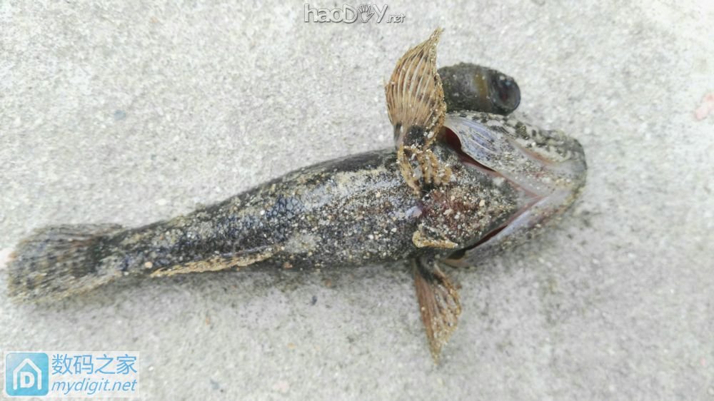 平生第一次手工绕制环牛,容我歇歇~ 缓缓手疼,请大牛们指点指点。 平生第一次手工绕制环牛,容我歇歇~ 缓缓手疼,请大牛们指点指点