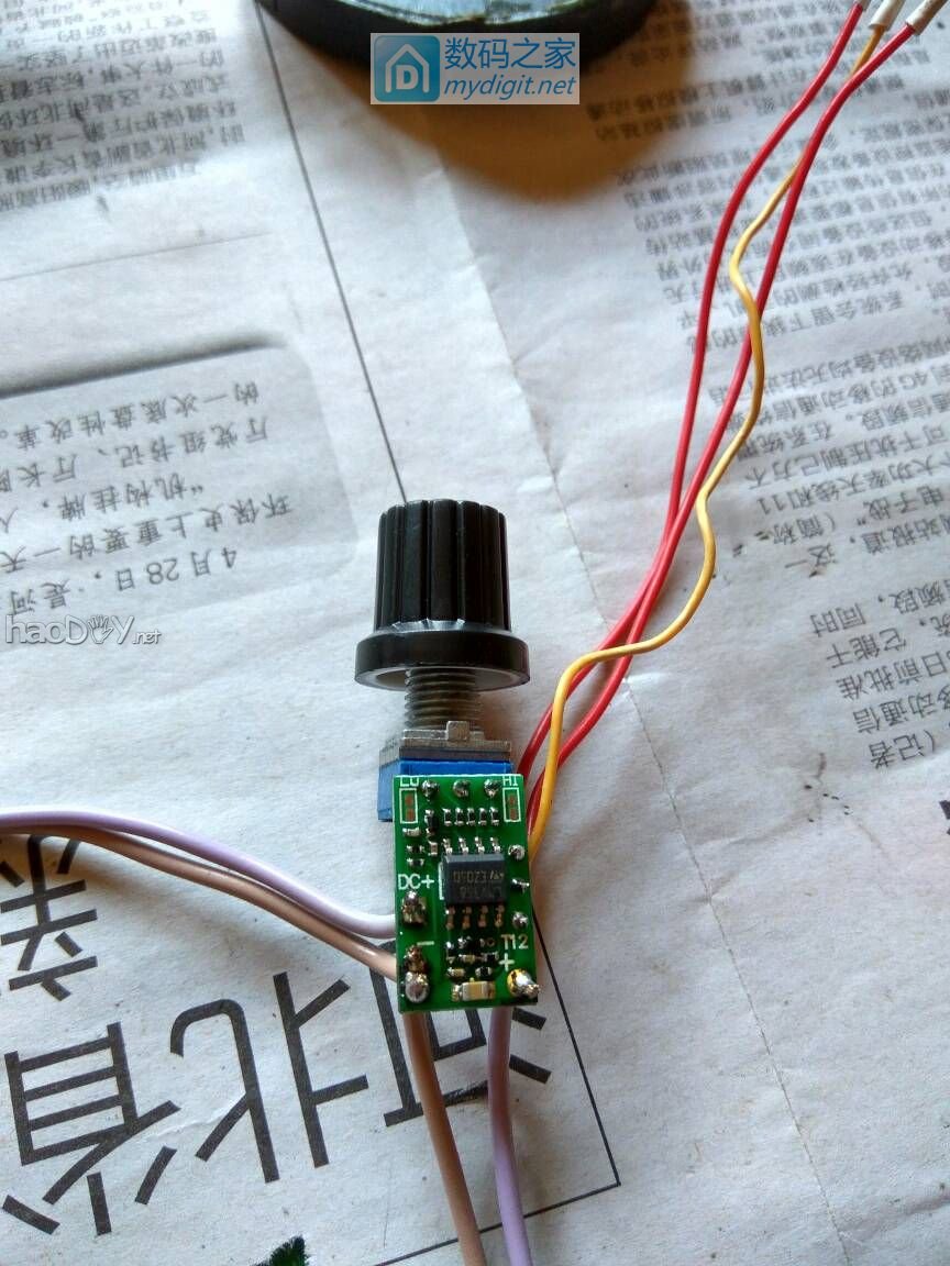 我的白菜白光成功了 我的白菜白光成功了