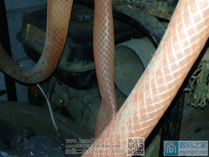 这下展现大家的创意的时候了,分享经验共同成长 这下展现大家的创意的时候了,分享经验共同成长