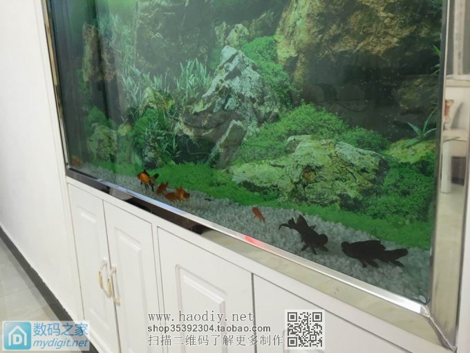 亲手DIY个不占地方的鱼缸,
