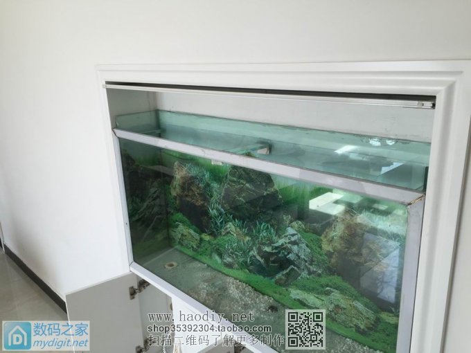 亲手DIY个不占地方的鱼缸,