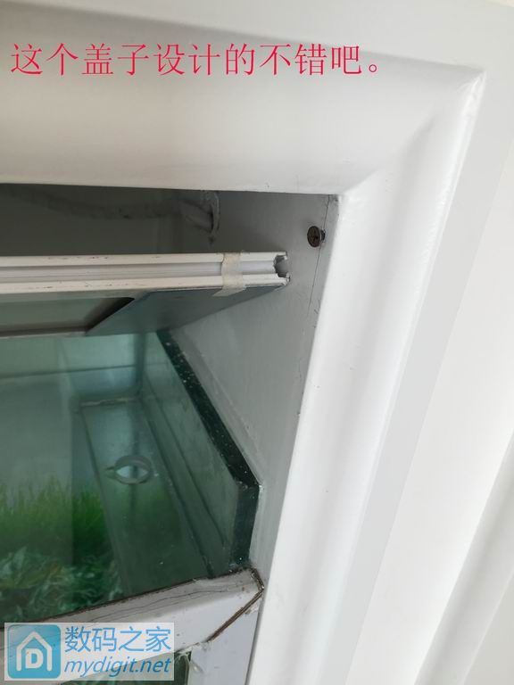 亲手DIY个不占地方的鱼缸,