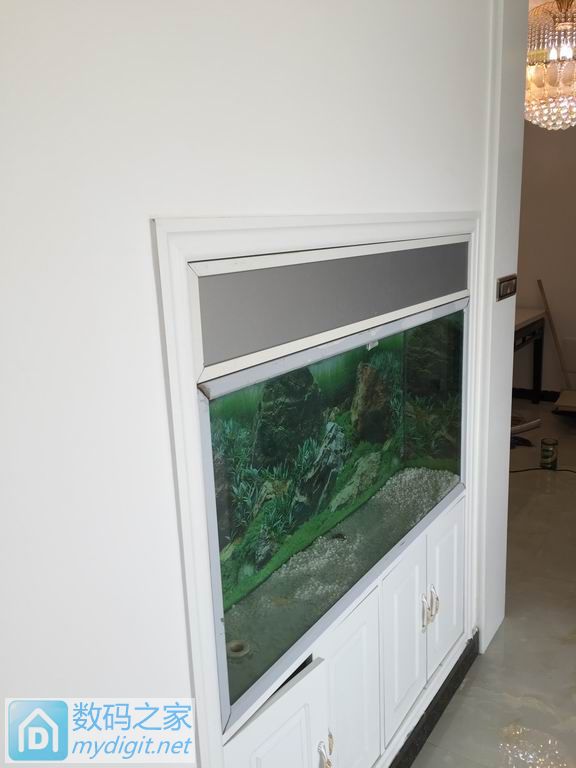 亲手DIY个不占地方的鱼缸,