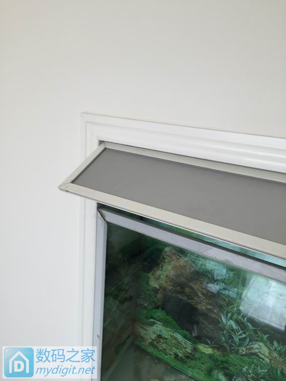 亲手DIY个不占地方的鱼缸,