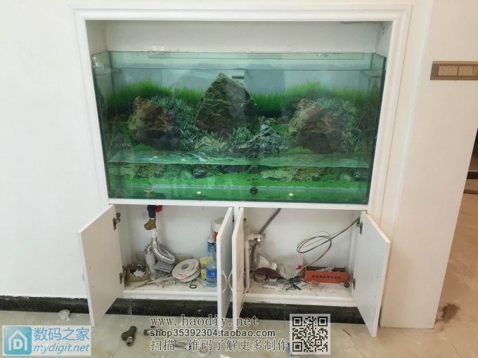 亲手DIY个不占地方的鱼缸,
