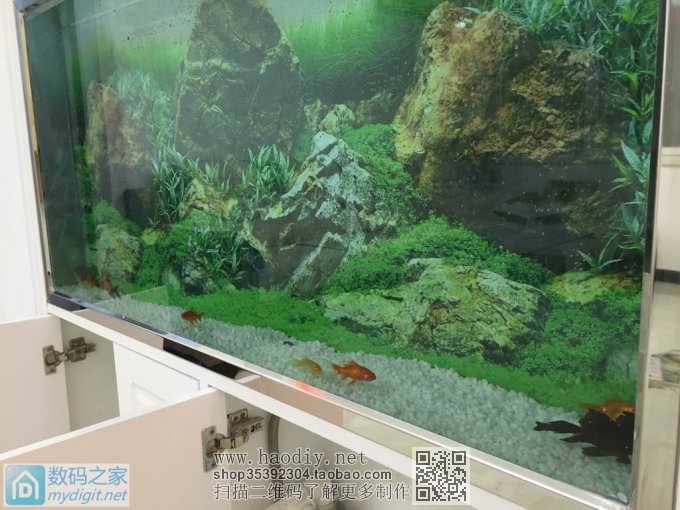 亲手DIY个不占地方的鱼缸,