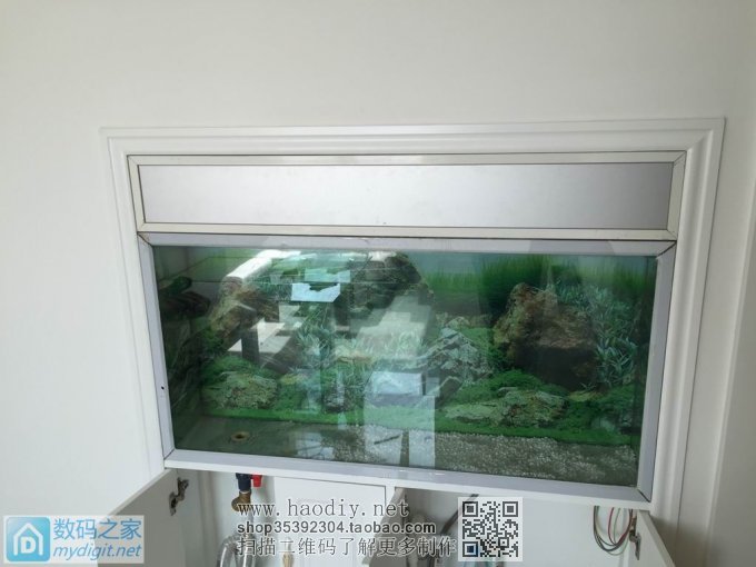 亲手DIY个不占地方的鱼缸,