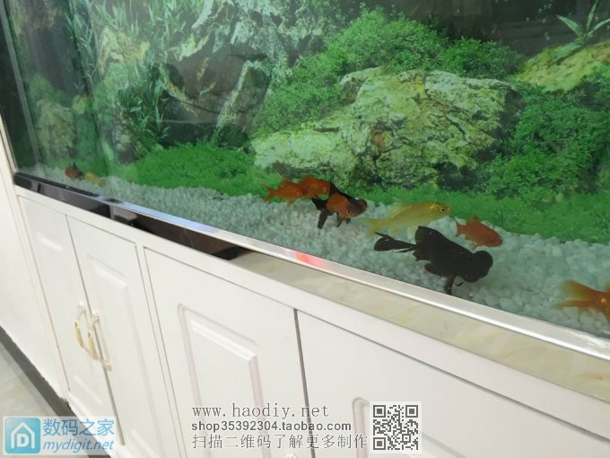 亲手DIY个不占地方的鱼缸,