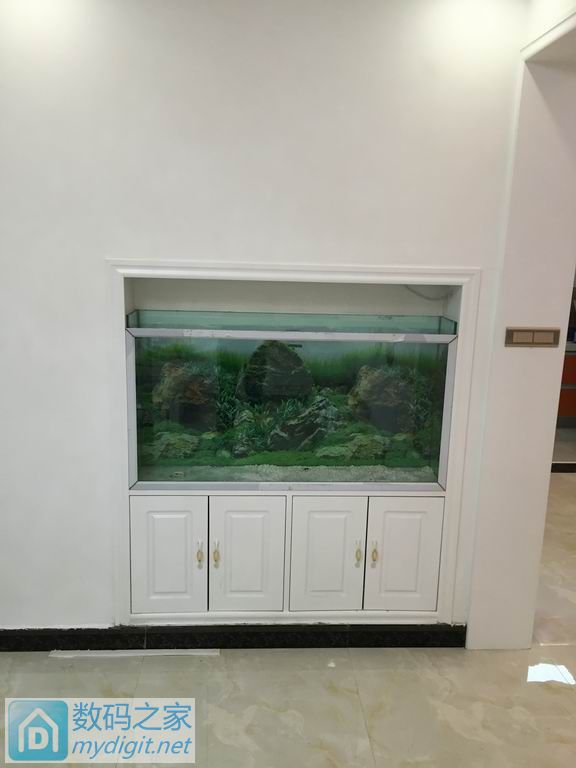 亲手DIY个不占地方的鱼缸,