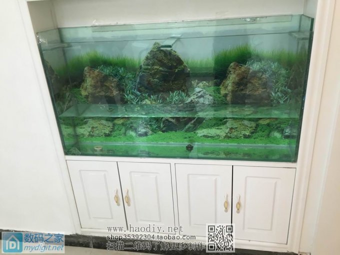 亲手DIY个不占地方的鱼缸, 亲手DIY个不占地方的鱼缸,