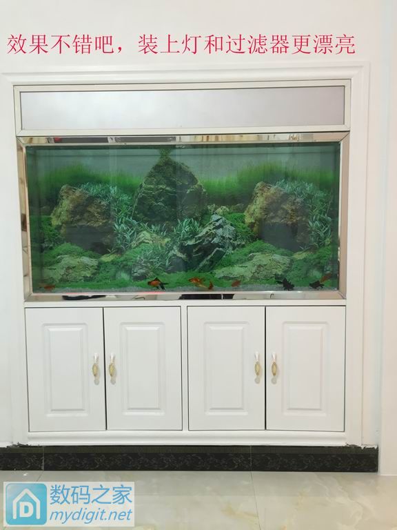 亲手DIY个不占地方的鱼缸,