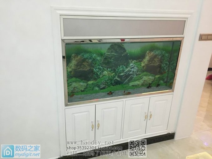 亲手DIY个不占地方的鱼缸,