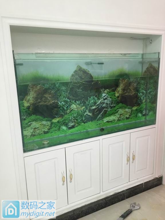 亲手DIY个不占地方的鱼缸,