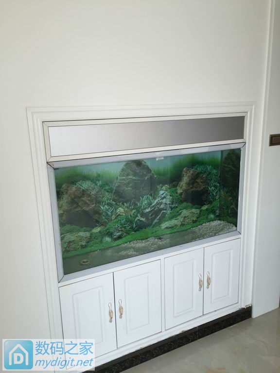 亲手DIY个不占地方的鱼缸,