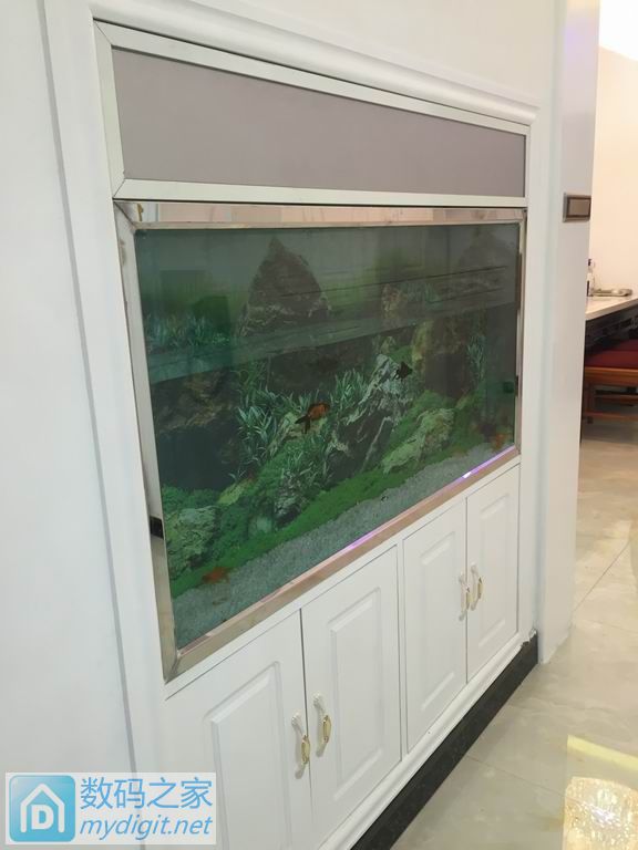 亲手DIY个不占地方的鱼缸,