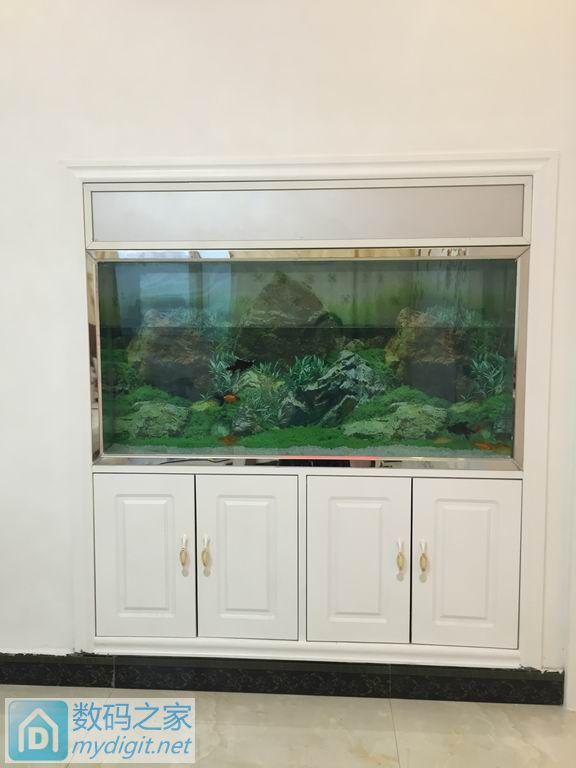 亲手DIY个不占地方的鱼缸,