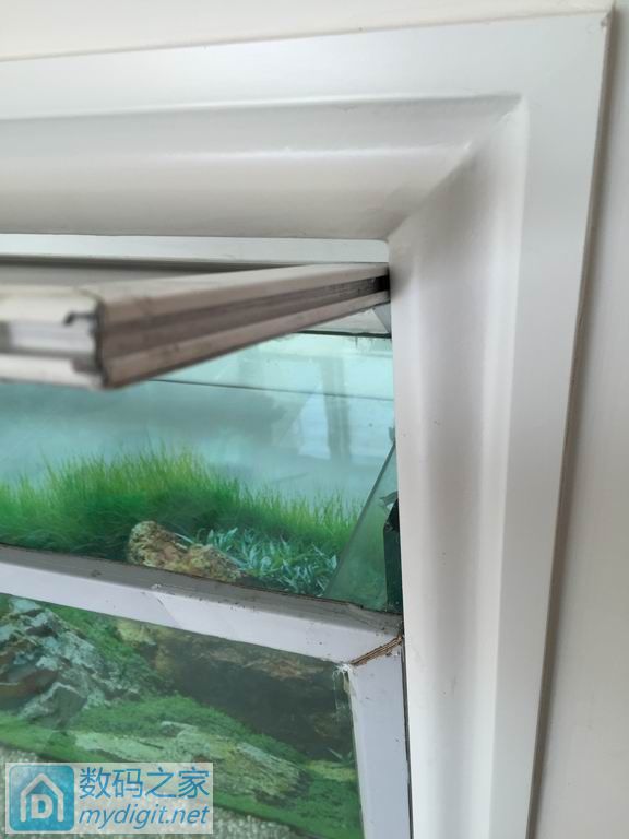 亲手DIY个不占地方的鱼缸,