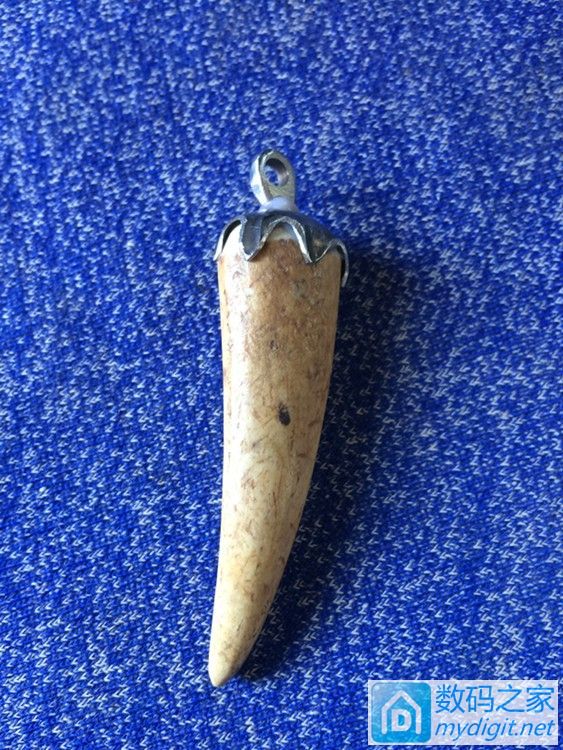 让“小辣椒“加速成熟。。。。。。。。。。。 让“小辣椒“加速成熟。。。。。。。。。。。