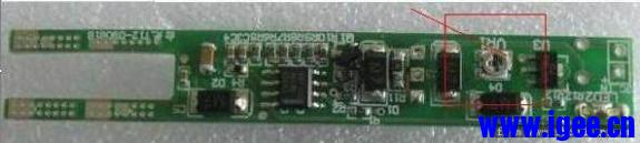 转Any的帖子 这里的白光不够热哇,我来放毒,《白菜白光 之 正本清源》