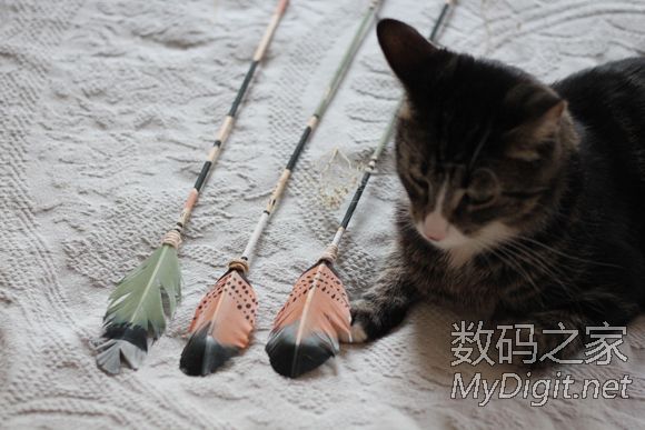 十分钟DIY丘比特之箭 十分钟DIY丘比特之箭