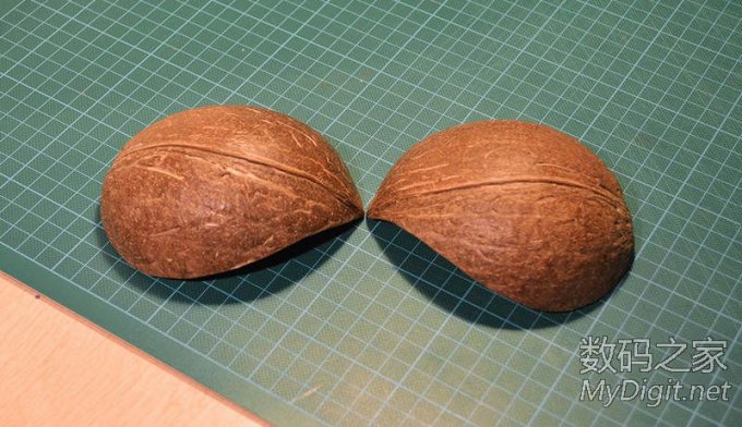 剩椰子壳的妙用!保证有用(转帖) 剩椰子壳的妙用!保证有用(转帖)