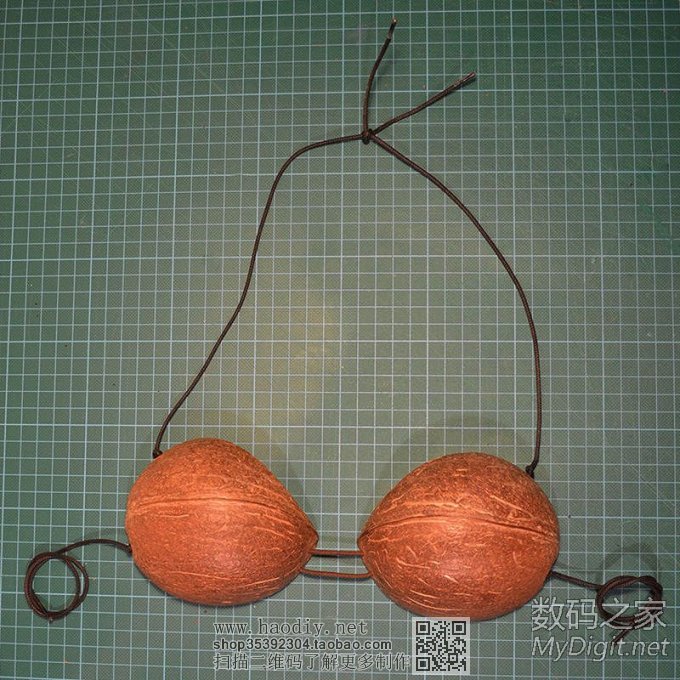 剩椰子壳的妙用!保证有用(转帖) 剩椰子壳的妙用!保证有用(转帖)