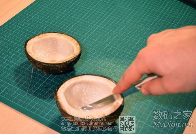 剩椰子壳的妙用!保证有用(转帖) 剩椰子壳的妙用!保证有用(转帖)