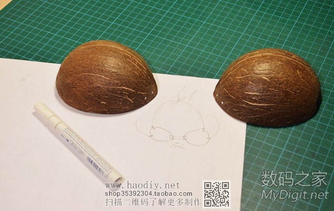 剩椰子壳的妙用!保证有用(转帖) 剩椰子壳的妙用!保证有用(转帖)