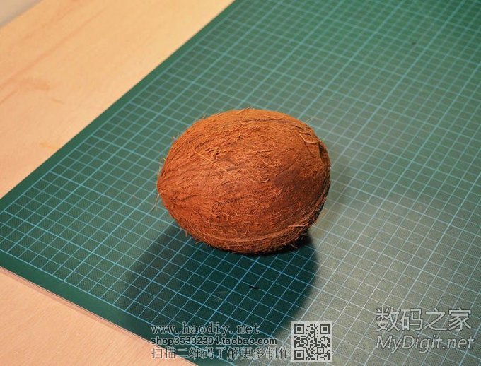 剩椰子壳的妙用!保证有用(转帖) 剩椰子壳的妙用!保证有用(转帖)