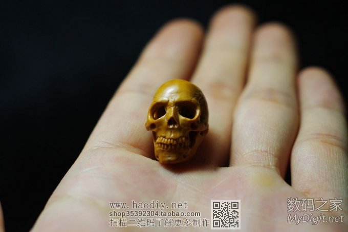 初试核雕--写实头骨 初试核雕--写实头骨