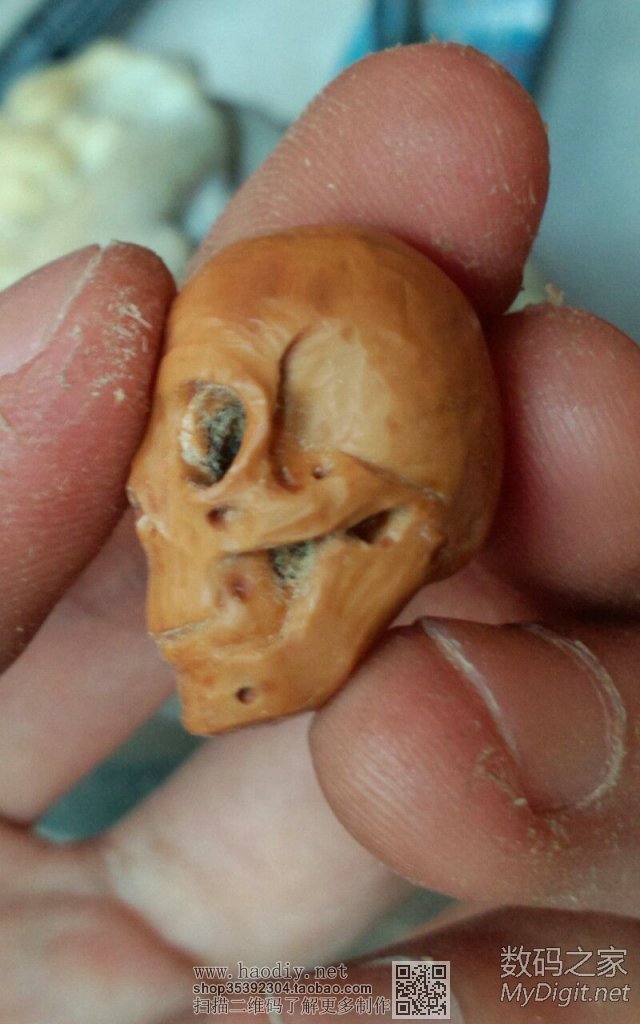 初试核雕--写实头骨 初试核雕--写实头骨