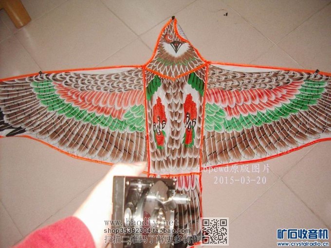 Ӳ̿Էŷݣûɣţ뿴ҵԭ