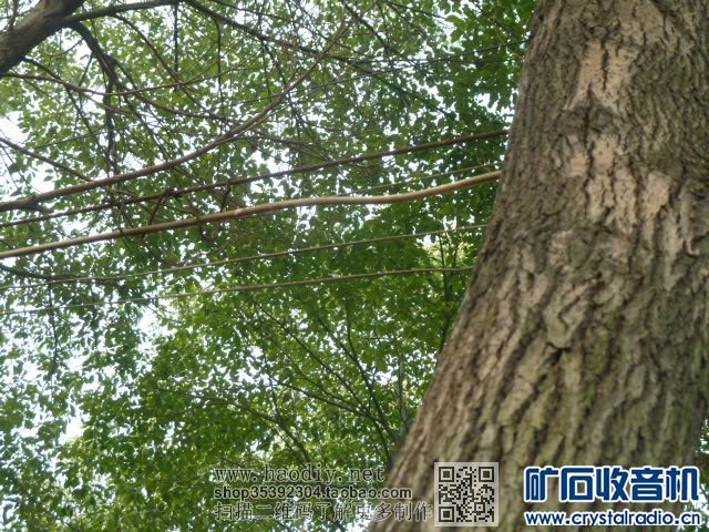 矿石机三月下江南(二)