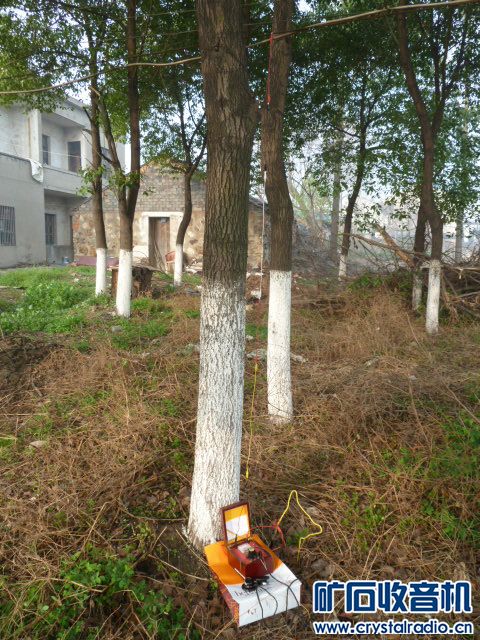 矿石机三月下江南(二)