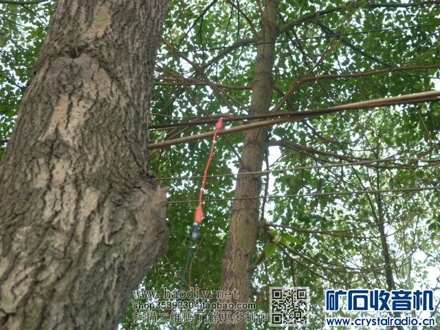 矿石机三月下江南(二)