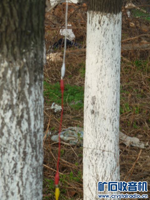 矿石机三月下江南(二)