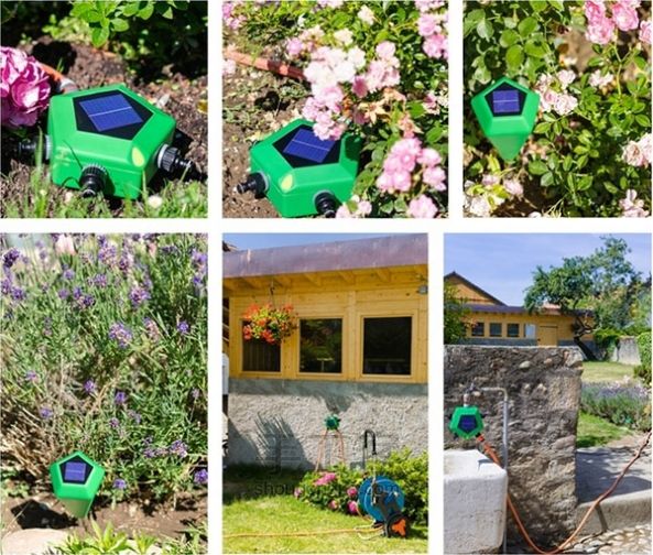 ũҲʧҵΣգ׹ϵͳ̫