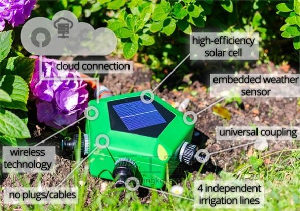 ũҲʧҵΣգ׹ϵͳ̫