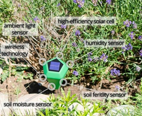 ũҲʧҵΣգ׹ϵͳ̫