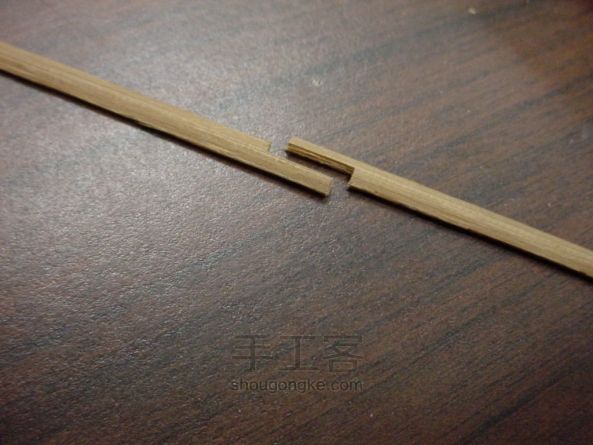 飞翔的铁公鸡:自制扑翼机